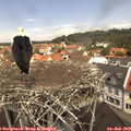 11_55-nest.jpg