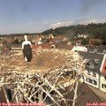 12_05-nest.jpg