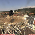 12_20-nest.jpg