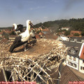 13_00-nest.jpg