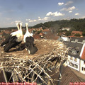 13_30-nest.jpg