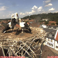 13_35-nest.jpg