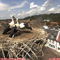 13_45-nest.jpg