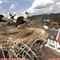 14_05-nest.jpg