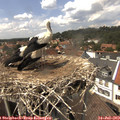 14_25-nest.jpg