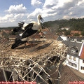 14_30-nest.jpg