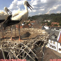14_40-nest.jpg