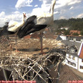 14_55-nest.jpg