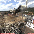 15_25-nest.jpg