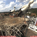 15_30-nest.jpg