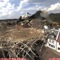 15_35-nest.jpg