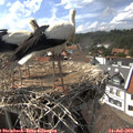 15_45-nest.jpg