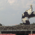 16_05-mast.jpg