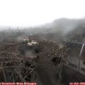 17_20-nest.jpg