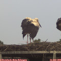 18_05-mast.jpg