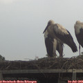 18_30-mast.jpg