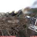 19_00-nest.jpg