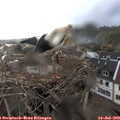 19_05-nest.jpg