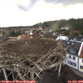 19_50-nest.jpg