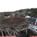 19_55-nest.jpg