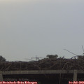 20_00-mast.jpg