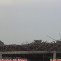 20_05-mast.jpg