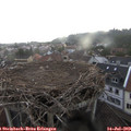 20_05-nest.jpg