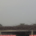 20_10-mast.jpg