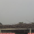 20_15-mast.jpg