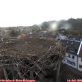 20_20-nest.jpg
