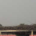 20_35-mast.jpg