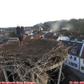 05_40-nest.jpg