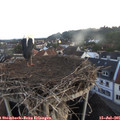 05_45-nest.jpg