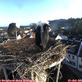 06_50-nest.jpg