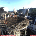 07_05-nest.jpg