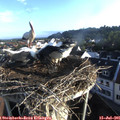 07_10-nest.jpg