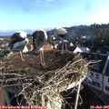 07_30-nest.jpg
