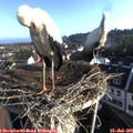 07_40-nest.jpg