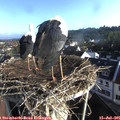 07_45-nest.jpg