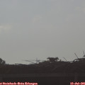 07_50-mast.jpg