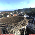 07_50-nest.jpg