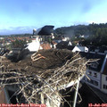 07_55-nest.jpg