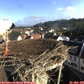 08_00-nest.jpg