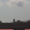 08_05-mast.jpg