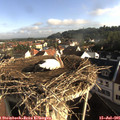 08_05-nest.jpg