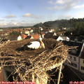 08_15-nest.jpg