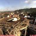 08_20-nest.jpg