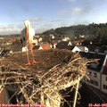 08_25-nest.jpg