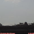08_35-mast.jpg