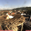 08_35-nest.jpg